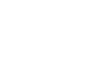 Bizgenics Logo White